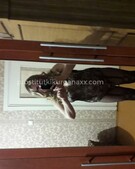 Анкета проститутки Злата - метро Чертаново Центральное, возраст - 35